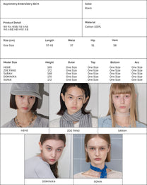 Asymmetry Embroidery Skirt