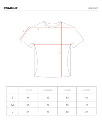 Light Gray Paneled T-Shirt