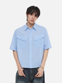 Linen Stripe Crop T-Shirt (Blue)