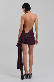 Tipsy Dress (Wine)