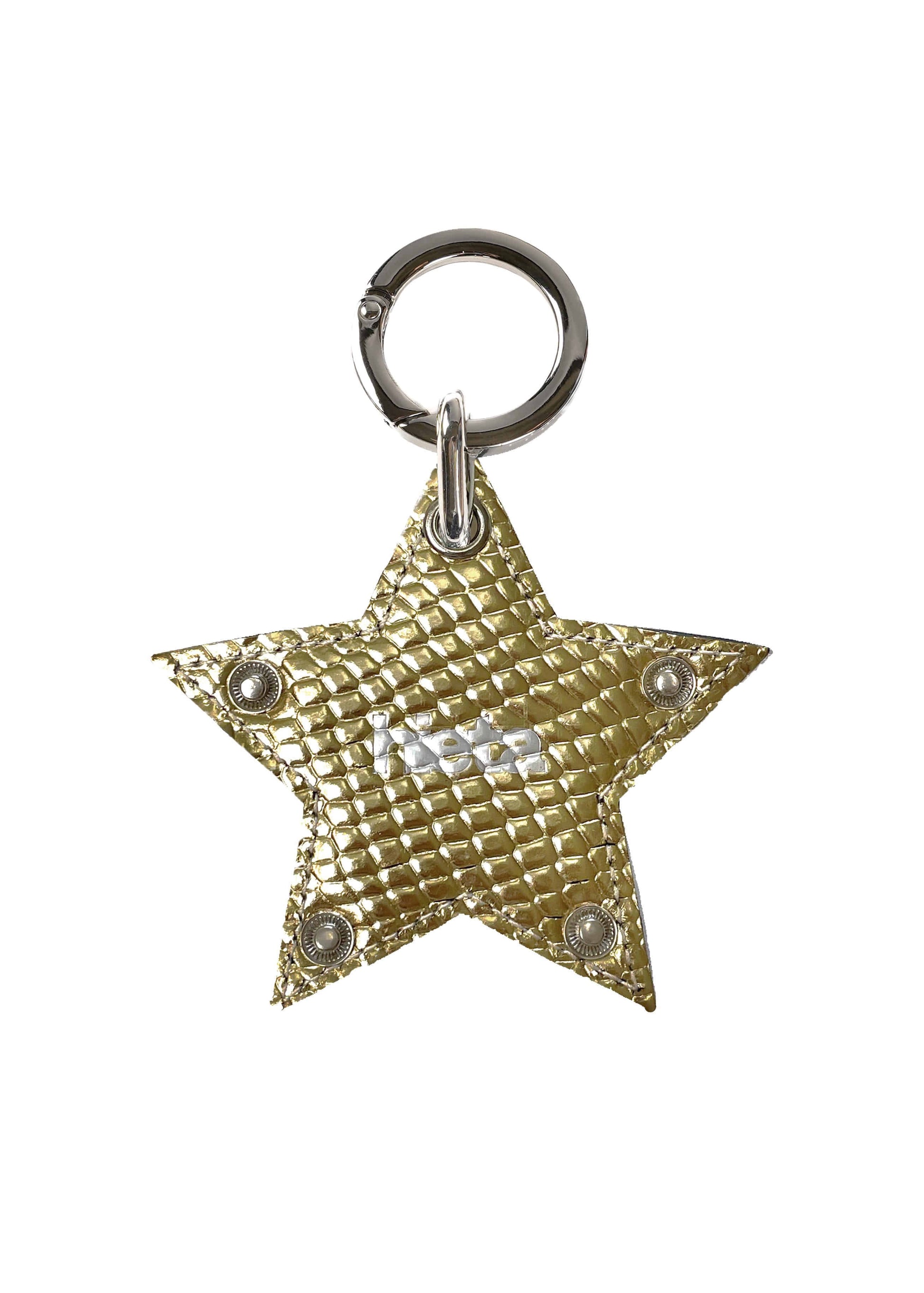 Tanny Keyring (Gold)